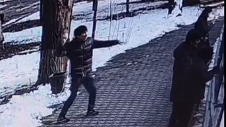 Тошкент ҳайвонот боғида йўлбарсга қорга қўшиб қор отгани аниқланди