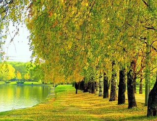 Weather forecast for September 29th