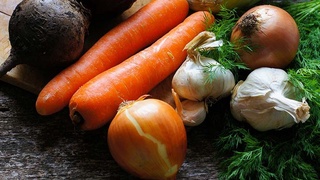 Перспективы выращивания и экспорта «лекарства от тысяч болезней»