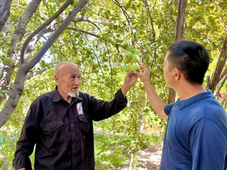 Қарақалпақстанлы фермерлер аўыл хожалығының барлық тармақларында мол зүрәәт жетистирмекте