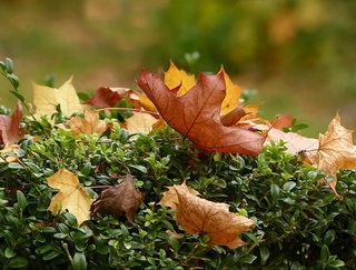 Узгидромет: на выходных в Узбекистане ожидается понижение температуры ночью до +10 градусов