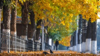 Прогноз погоды на 28 сентября