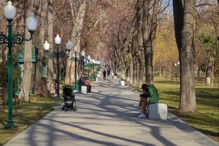 На неделе сохранится погода без осадков