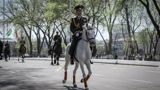 В Ташкенте пройдет конный парад, посвященный Наврузу