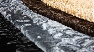 Qorakoʻlchilik mahsulotlari yetishtiruvchilar uchun soliq va bojxona imtiyozlari uzaytirildi