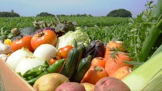 Dynamics of agricultural reforms (+ infographics)