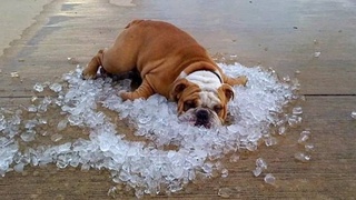 Выходные будут аномально жаркими: +46°С