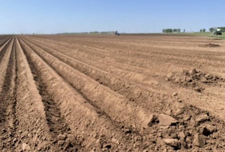 Как в Узбекистане планируют повысить плодородность почвы?