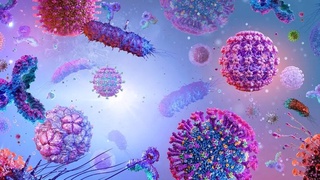 Дар Ҷопон як вируси нодир паҳн мешавад, ки метавонад дар тӯли 48 соат одамро бикушад