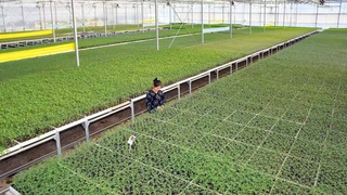 Слагаемые успеха, инвестиции и точки роста