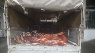 «Эски Жува» бозорида истеъмолга яроқсиз гўшт ва сут маҳсулотлари аниқланди