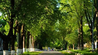 В Узбекистан придет прохлада: прогноз погоды на выходные