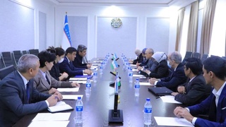 Новые образовательные направления