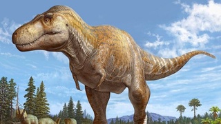 АҚШда тиранозаврнинг илгари номаълум бўлган турининг қолдиқлари топилди