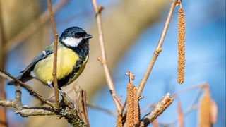 Прогноз погоды на 8 февраля