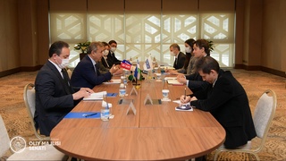 Первый заместитель Председателя Сената встретился с директором БДИПЧ ОБСЕ