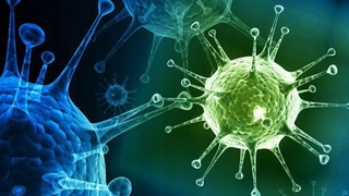 Koronavirusdan keyin immunotanqislik holati yuzaga kelishi mumkin — immunolog