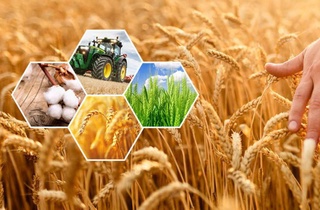 Субсидирование аграрного сектора цифровизируют