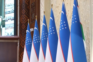 Заңмен  Мемлекеттік туды пайдалану мүмкіндіктері кеңейтілуде