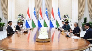 Өзбекстан мен Парагвай Президенттері келіссөз жүргізді