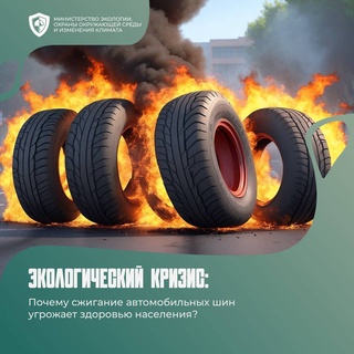 Экологический кризис: почему сжигание автомобильных шин угрожает здоровью населения?