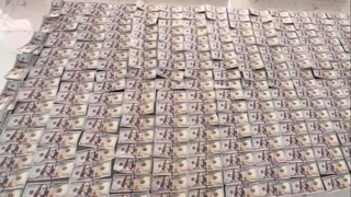 43 500 АҚШ долларини ноқонуний олиб чиқмоқчи бўлган шахс ушланди