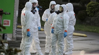 COVID-19 нинг чўчқа гриппидан фарқи нимада?