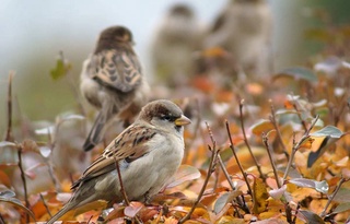 Weather forecast for December 5th