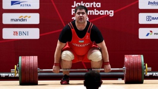 Кто из наших богатырей  станет олимпийцем?