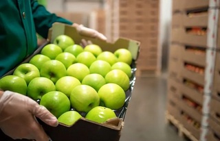 Өзбекстанда жетистирилген мийўе-овош өнимлери Швецияға тиккелей експорт етиледи