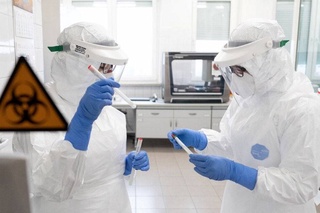 Ученые предсказали новую пандемию в ближайшие десять лет