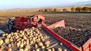 Экономическое здоровье региона: прогноз позитивный