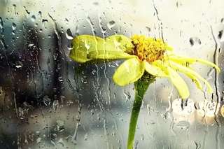 Мамлакатимиз бўйлаб 20-24 июнда кузатиладиган об-ҳаво маълум қилинди