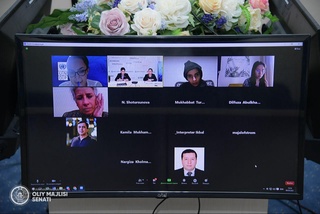 Ombudsman BMT Taraqqiyot dasturining Istambuldagi Mintaqaviy markazi rahbari bilan onlayn uchrashuv o'tkazdi