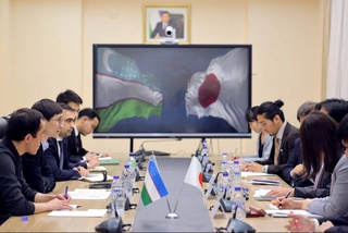 Uzbekistan and Japan discussed priority areas for further development of trade, economic and investment ties