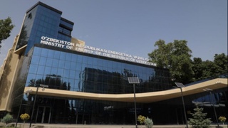 Энергетика министрлігіне электр энергиясы мен газ бойынша әлеуметтік нормаларының мерзімін өзгерту өкілеті берілді