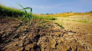 Oziq-ovqat yetishtirishning 95 foiz manbai