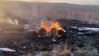 Two people were killed when a plane crashed in the Moscow region