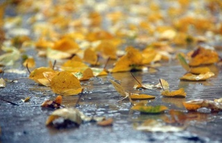 30 ноябрь куни кутилаётган об-ҳаво маълумоти эълон қилинди