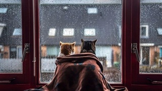 Погода на выходные: сильный ветер и дождь