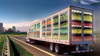 Ўзбекистоннинг сарҳил мева-сабзавотлари учун ташқи савдода янги бозорлар очилмоқда!