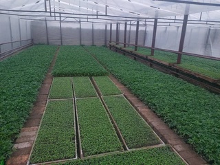 Бир тәжирийбениң мәниси ямаса Сайхунабадтан басланған ийгиликли баслама 
шеңбериндеги пикирлер