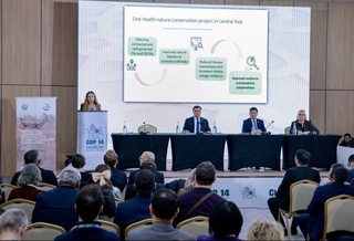 «Единое здоровье»: в Центральной Азии запущена инициатива в размере 11 млн евро