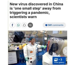 Санэпидкомитет: информация о новом смертельном вирусе «HKU5-CoV-2» не соответствует действительности