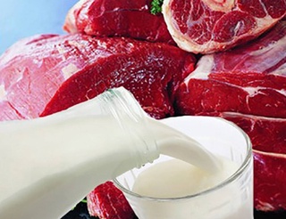 В молочных продуктах, баранине и говядине нашли эффективных убийц раковых клеток