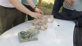 СГБ пресекла факты, связанные с незаконной продажей земель в трех областях