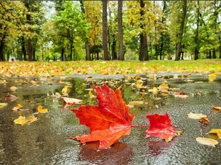 Прогноз погоды на 13 октября