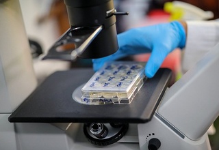 Омикрон-штамини нейтраллаштирувчи дори воситаси ишлаб чиқилди