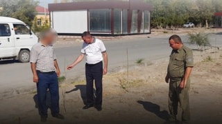 Дарахт кўчатларини парвариш қилмаган мансабдорлар жаримага тортилди