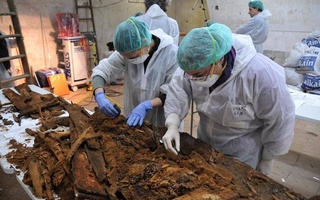 Peruda Yer tarixidagi eng og'ir vaznli hayvon qoldiqlari topildi